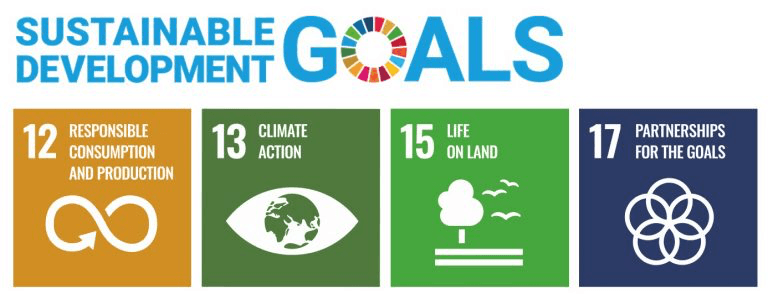 UN Sustainable Development Goals