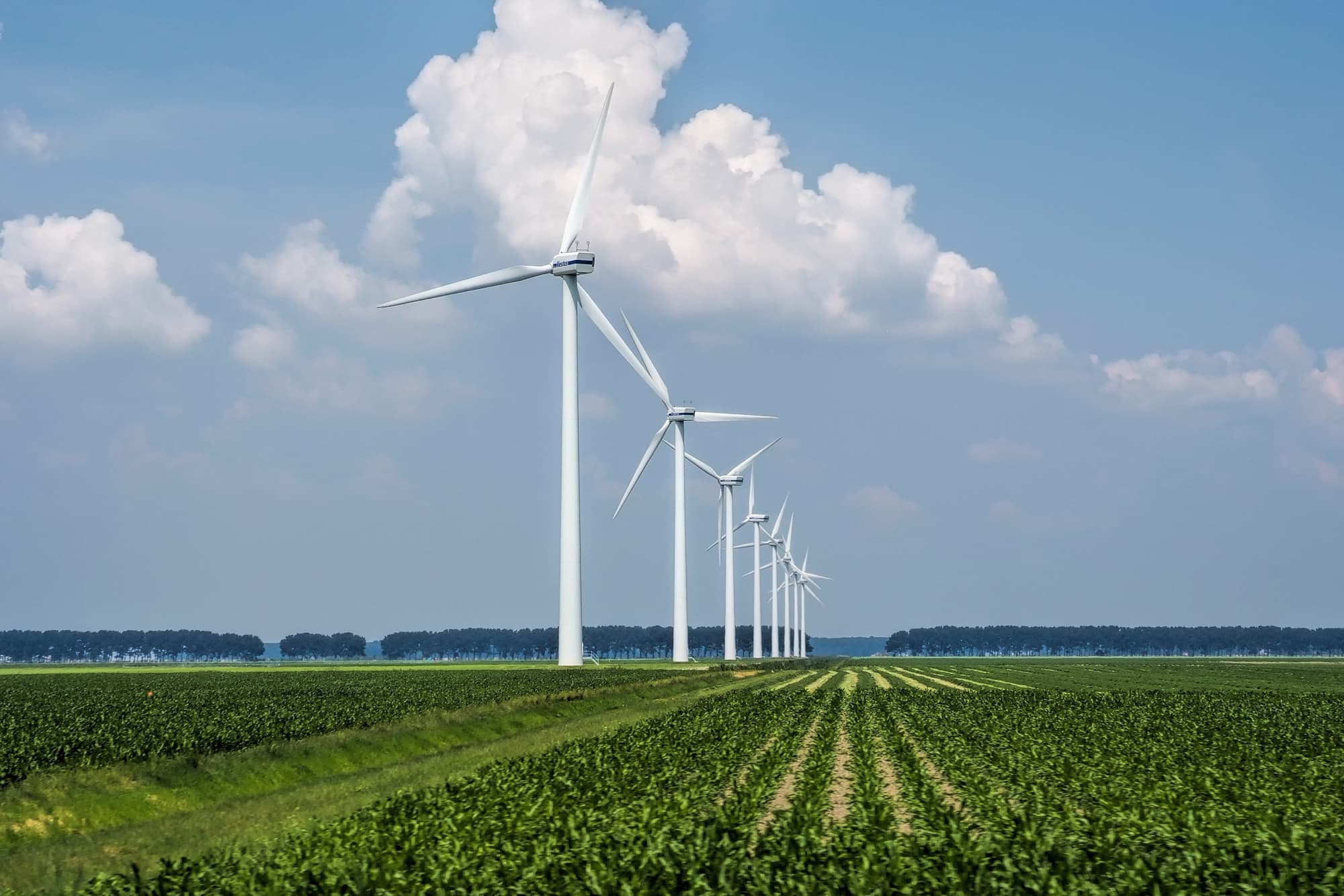 Windmill